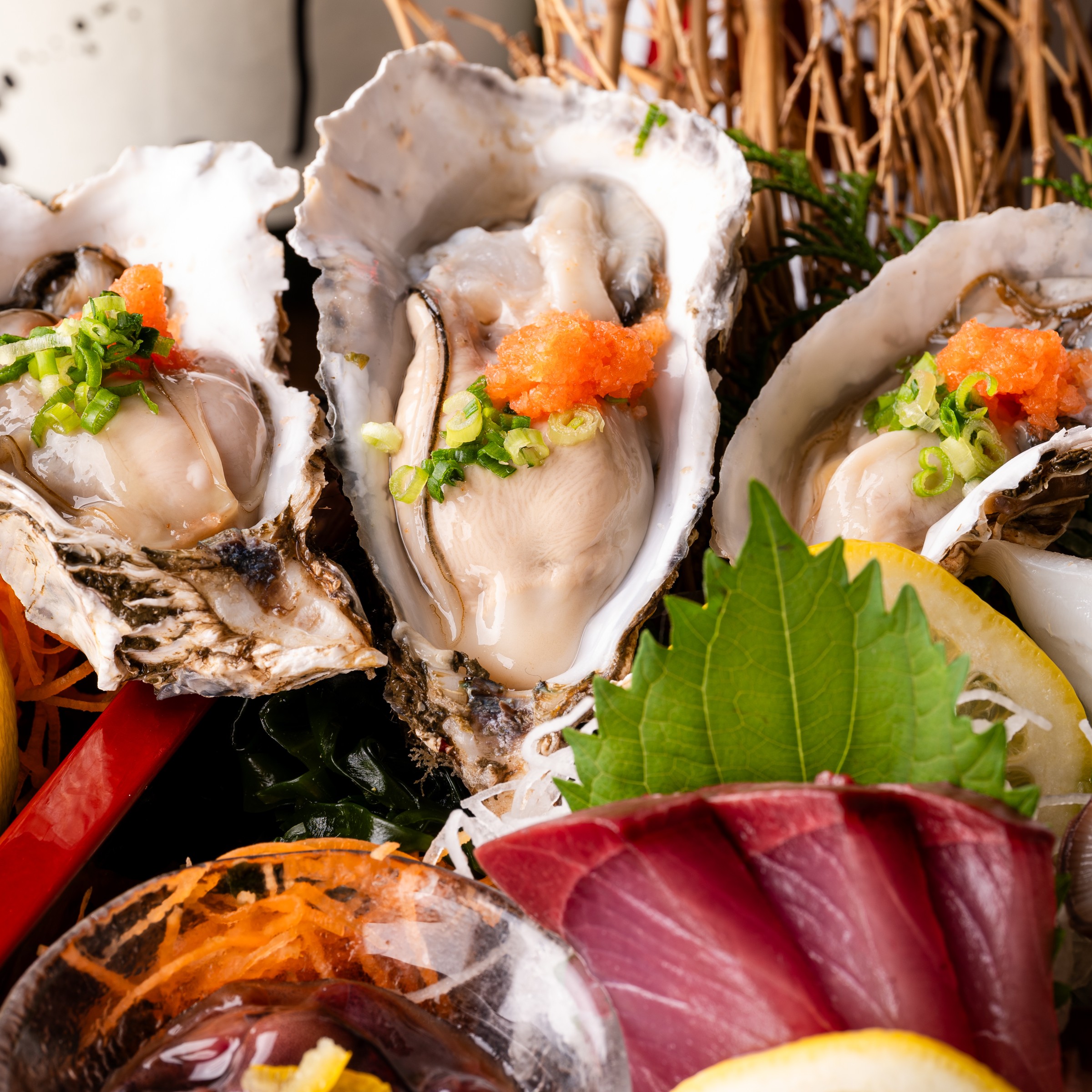 コンセプト画像